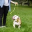 La importancia del Control Sano Veterinario para el cuidado de tu mascota