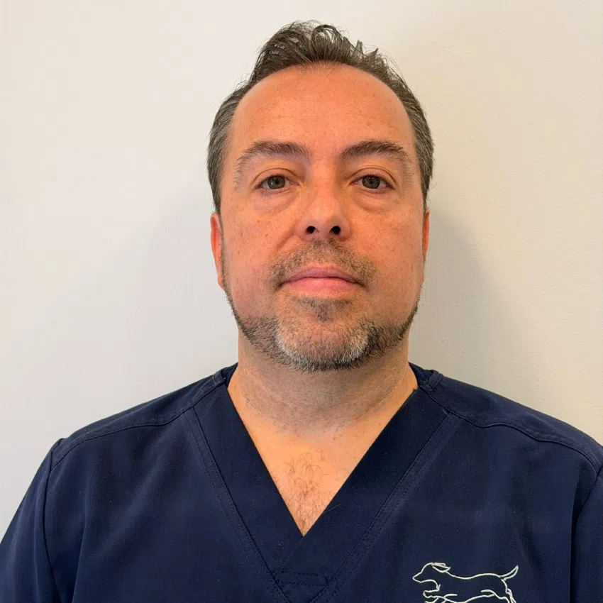 Marcos Vásquez - Neurología Clínica Veterinaria Nervet