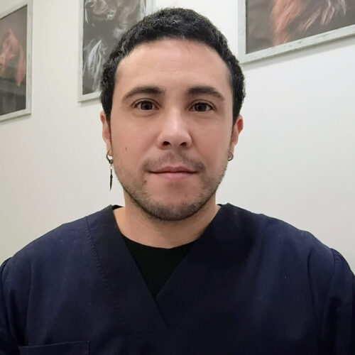 Noah Sura Medicina General Veterinaria - Clínica Nervet